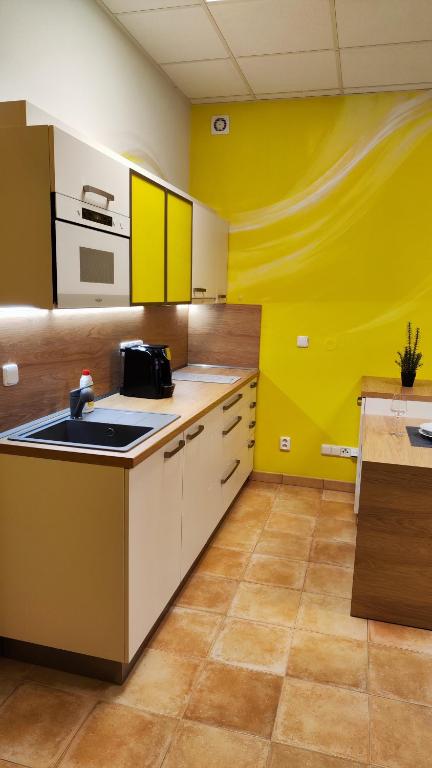 Kuchyň nebo kuchyňský kout v ubytování Apartmány Dačice