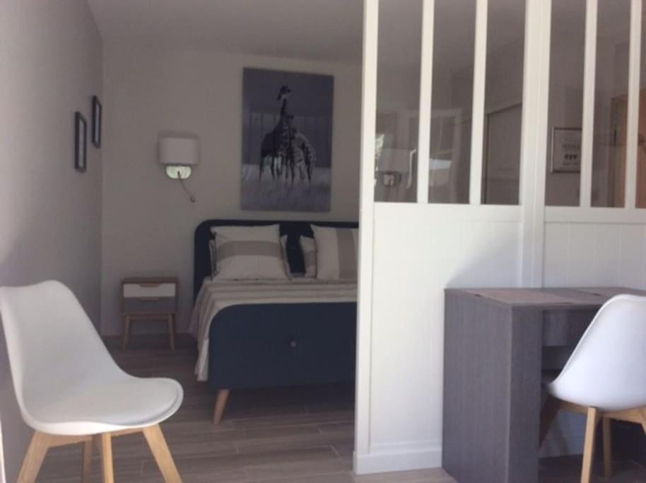 - une chambre avec un lit, une table et deux chaises dans l'établissement Studio climatisé avec petit jardin, à Villeneuve-lès-Avignon