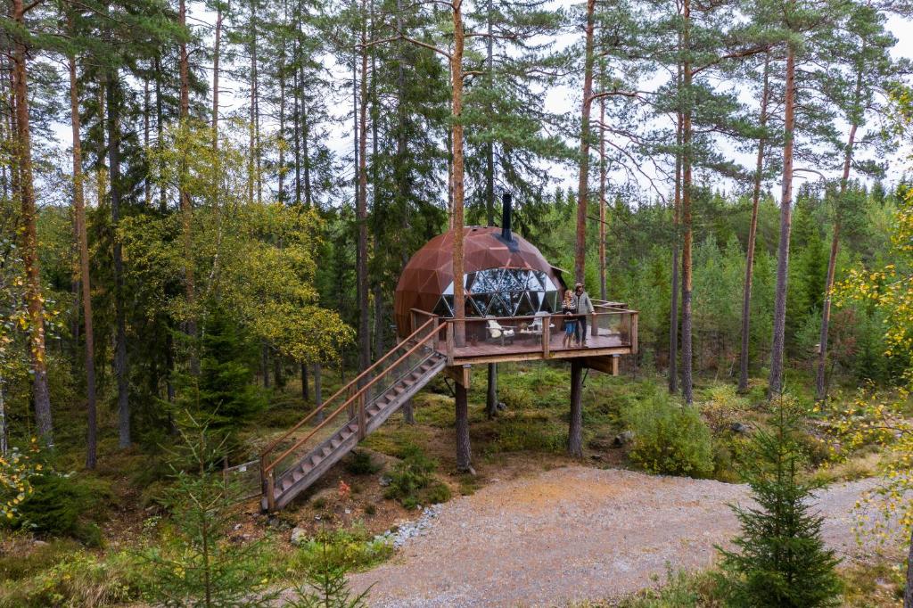 Treehouse dome في Vidnes: منزل شجرة في وسط غابة