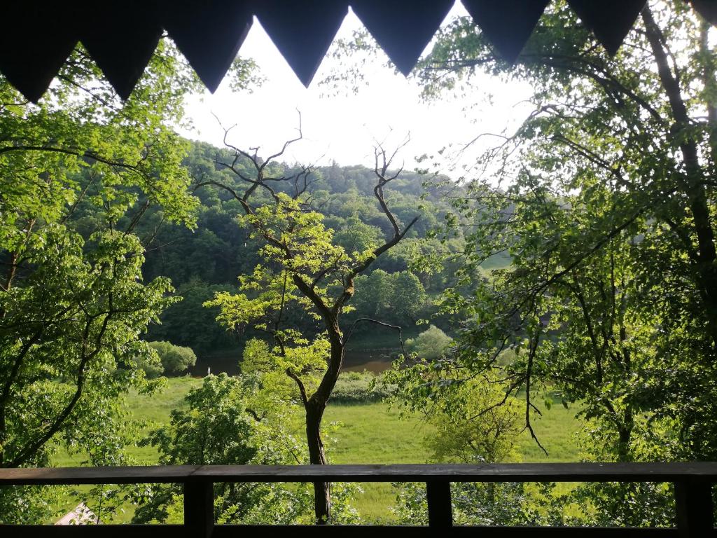 克里沃克拉的住宿－Chatrč pod Babou，透过树木看到田野