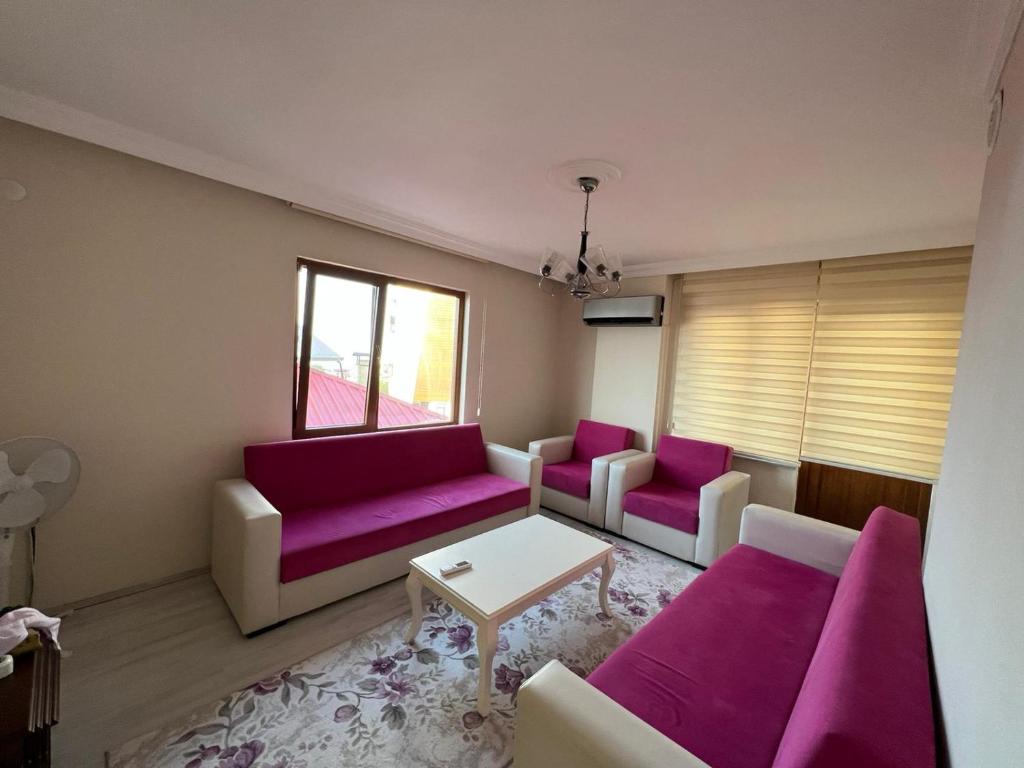 sala de estar con muebles de color púrpura y ventana en TRABZON aparts, en Cimenli