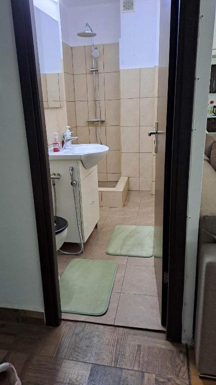 Garsonieră La Felix - Appartement Met één Slaapkamer
