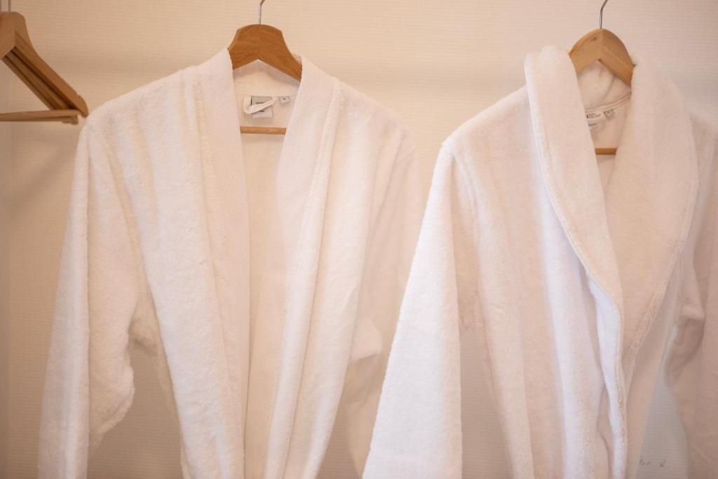 ColmarAppart Vauban avec Spa – photo 46