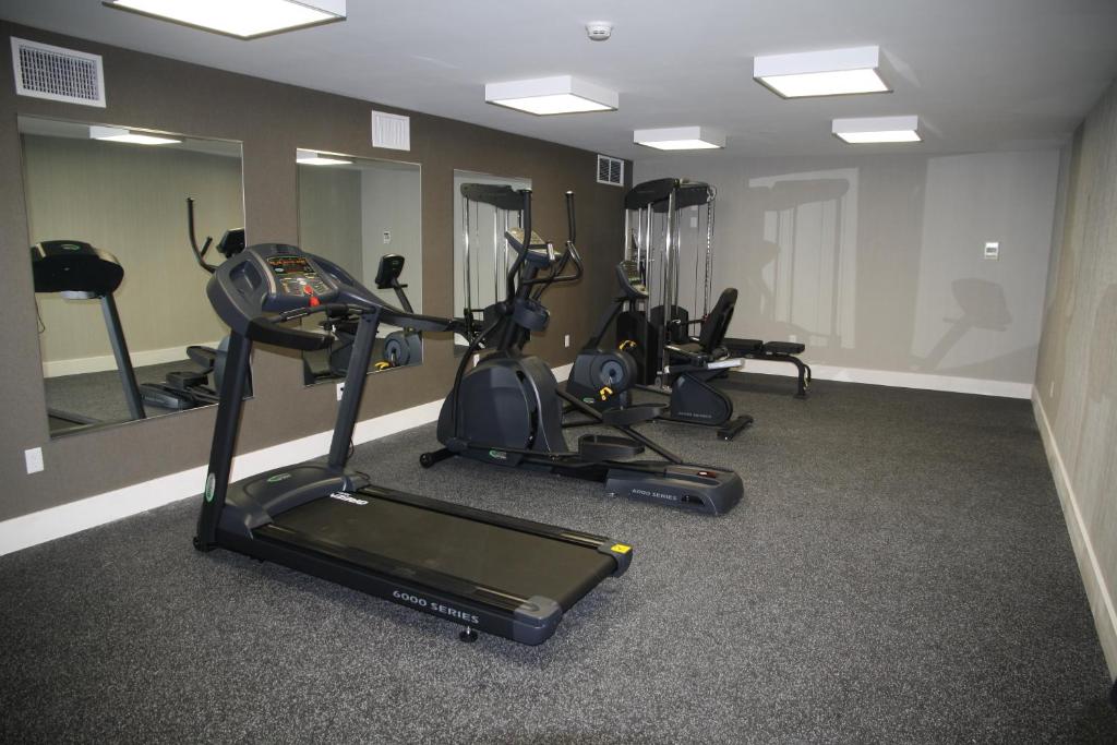 Fitness centrum a/nebo fitness zařízení v ubytování Wingate by Wyndham Niagara Falls