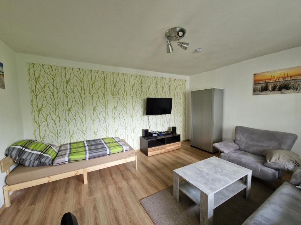 ein Wohnzimmer mit einem Sofa und einem TV in der Unterkunft Apartment mit Balkon, perfekt als Monteurwohnung oder Stundentenwohnung in Springe