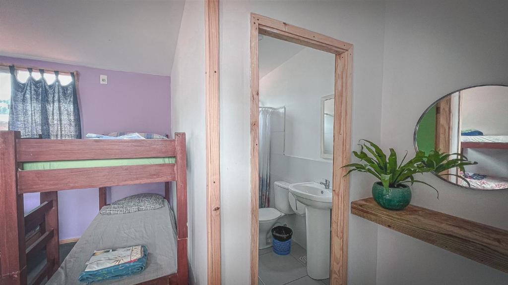 Compay Hostel La Pedrera - 6床位女性宿舍间的床位 - 带私人浴室