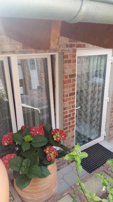 a porch with two windows and flowers in a pot at Gästeapartment Brachelen in Hückelhoven