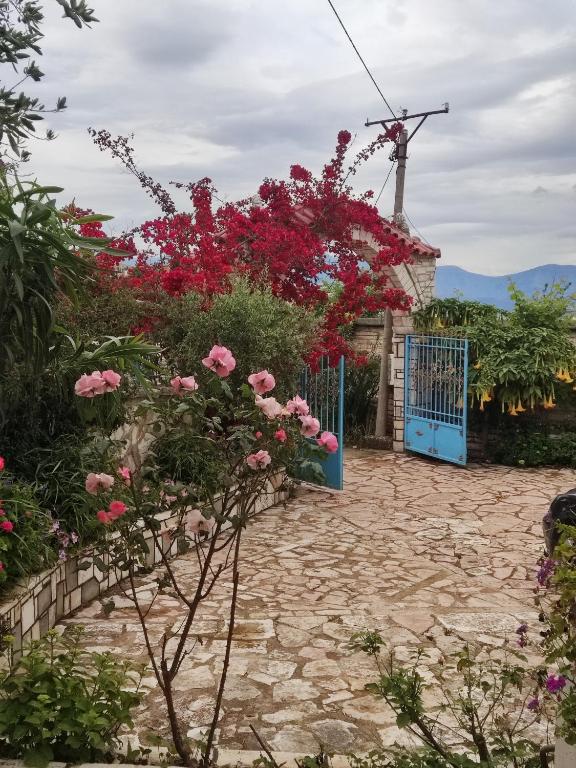 Zahrada ubytování Villa HENA