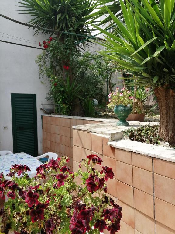 Il Giardino della Nonna - 16