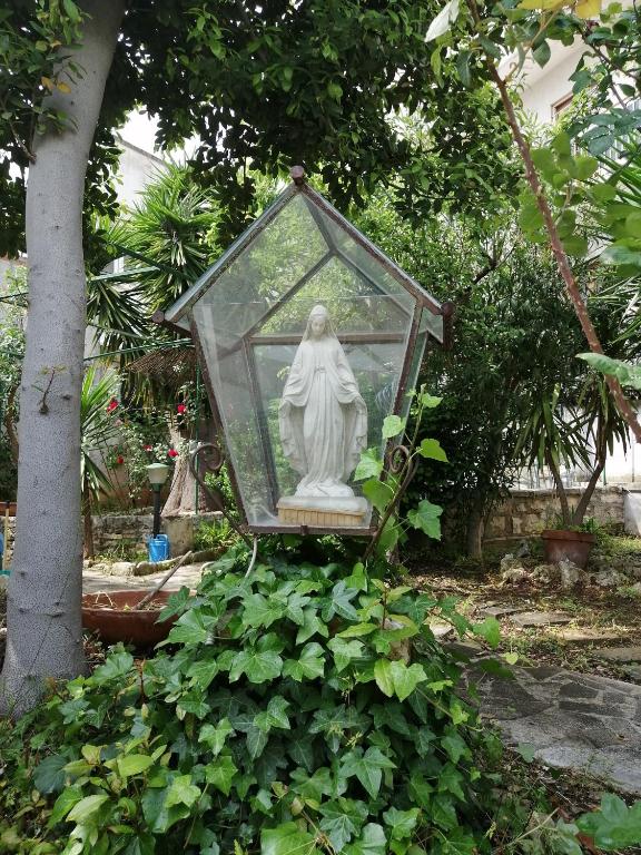 Il Giardino della Nonna - 15