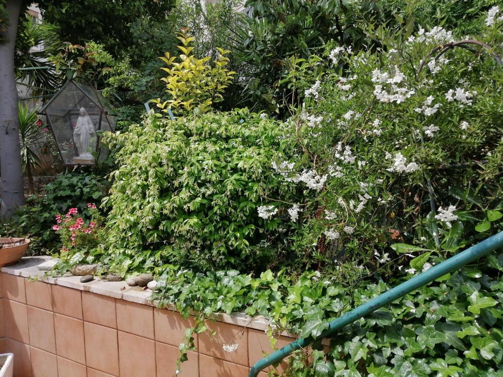 Il Giardino della Nonna - 14