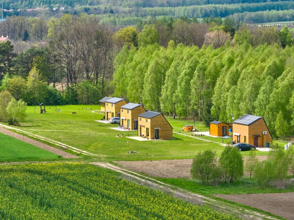 a group of houses in a field with trees at Domek na Roztoczu Sauna & Jacuzzi in Horyniec
