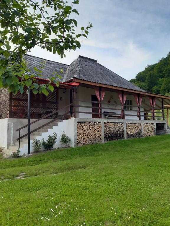 une maison avec une pelouse verte devant elle dans l'établissement Casa Dyasof, à Rohia