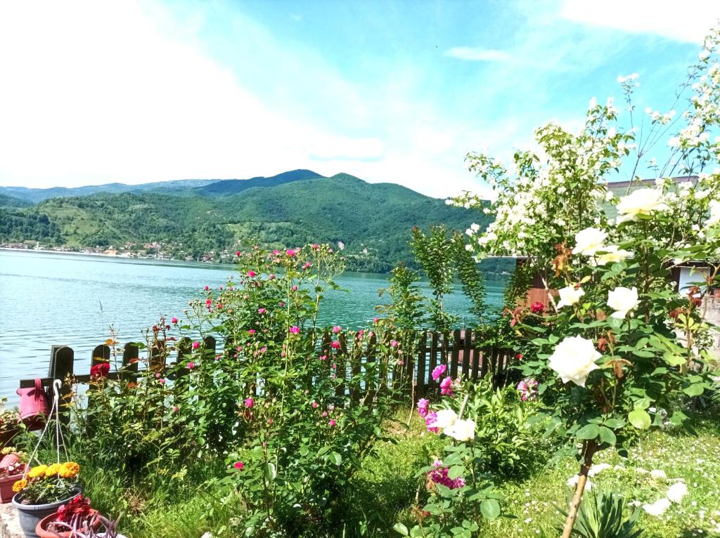 a fence with flowers in front of a body of water at Dina apartman Jablaničko jezero in Konjic