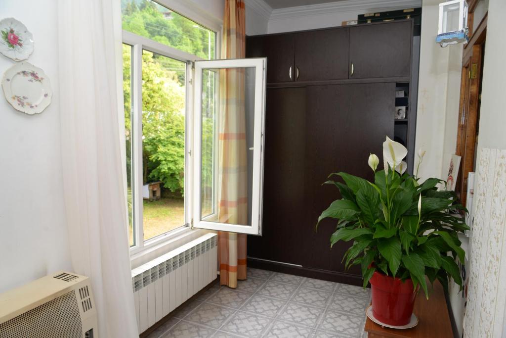 Fotografie z fotogalerie ubytování Kvariati Residence v destinaci Kvariati