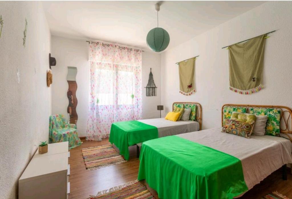 艾坎佩略的住宿－CMHOPE Green Room，一间卧室配有两张带绿床单的床
