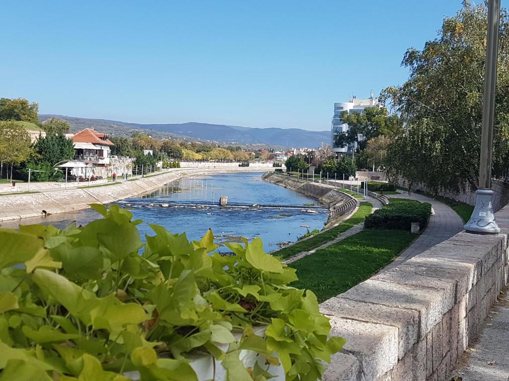 Un río con un grupo de personas nadando en él en Riverside apartment with private parking, en Niš