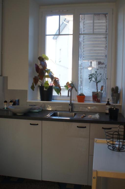 Kuchyň nebo kuchyňský kout v ubytování Appartements CDG JOIGNY