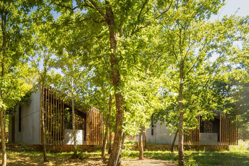 Um jardim no exterior de Syntony Hotels - Paradinha Village