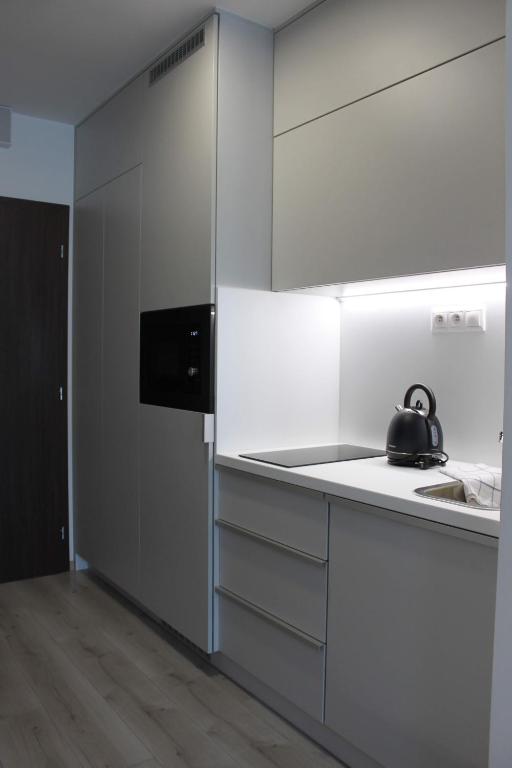 Kuchyň nebo kuchyňský kout v ubytování Apartman Kyjev 2