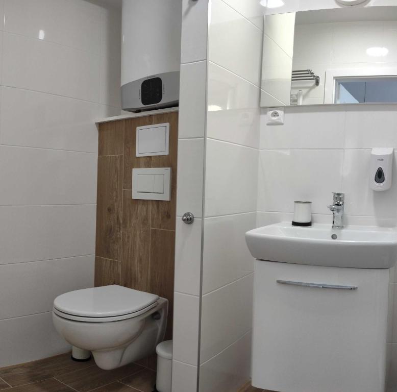 Koupelna v ubytování Apartman Kyjev 2