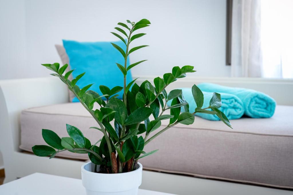 En Plo Boutique Suites - 8