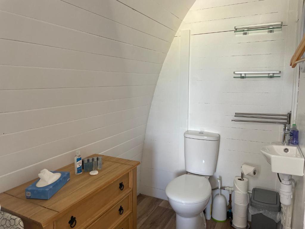 Koupelna v ubytování Glamping Pod with ensuite WC Near Kingsbridge & Salcombe