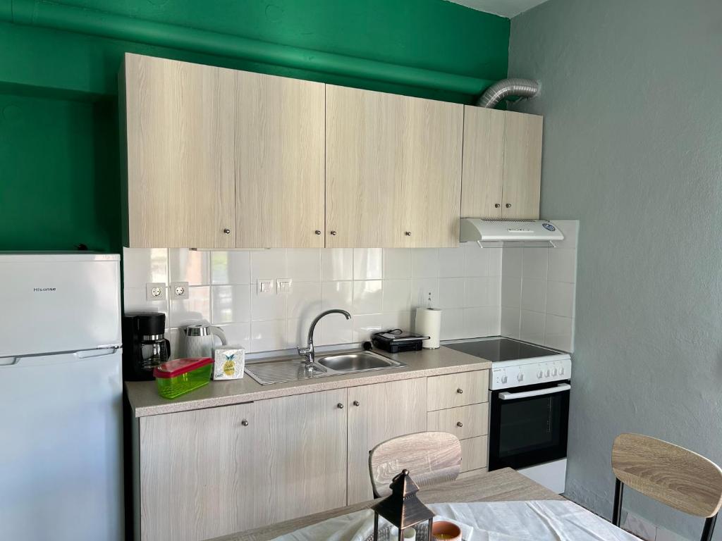 Kuchyň nebo kuchyňský kout v ubytování ZeusPlace Akti Platamonas