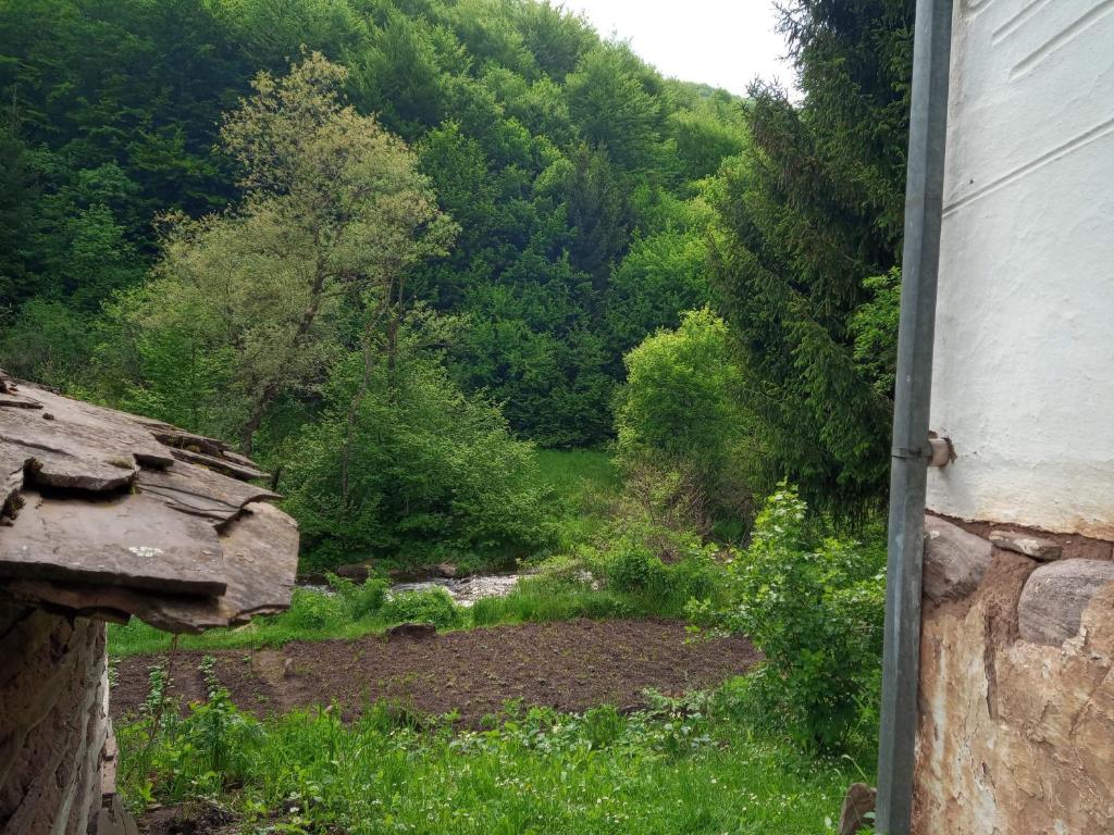 Příroda nedaleko apartmánu