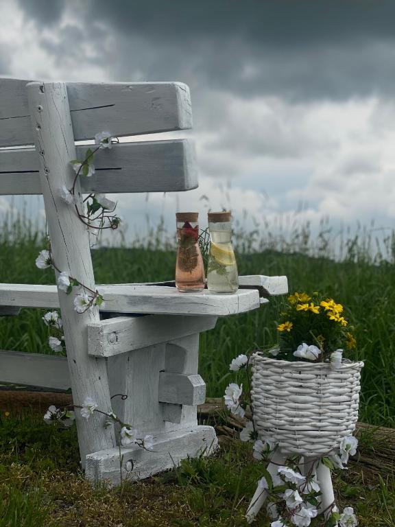 Fotografie z fotogalerie ubytování Pension Rucksackpeter v destinaci Hohenbrugg an der Raab