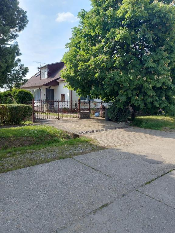 a house with a tree in front of a driveway at Viktória Apartman in Szigetvár