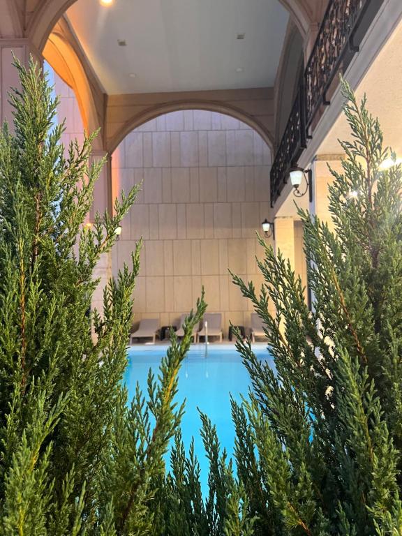 une piscine avec des arbres devant un bâtiment dans l'établissement Hotel Irise, à Kobuleti