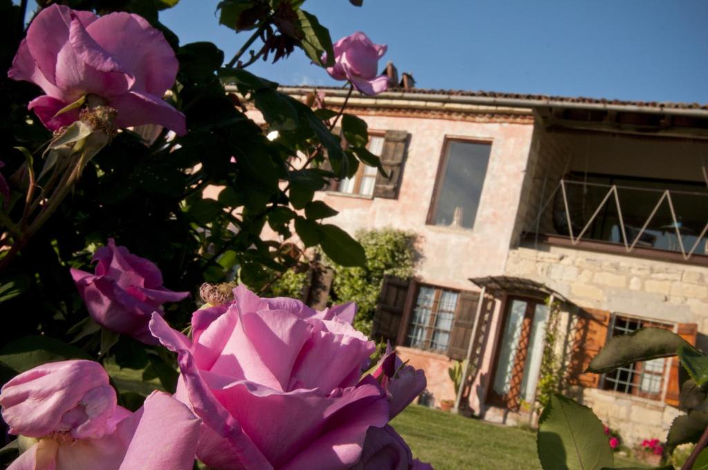 a pink flower in front of a building at Cascina Rosa B&B in Grazzano Badoglio