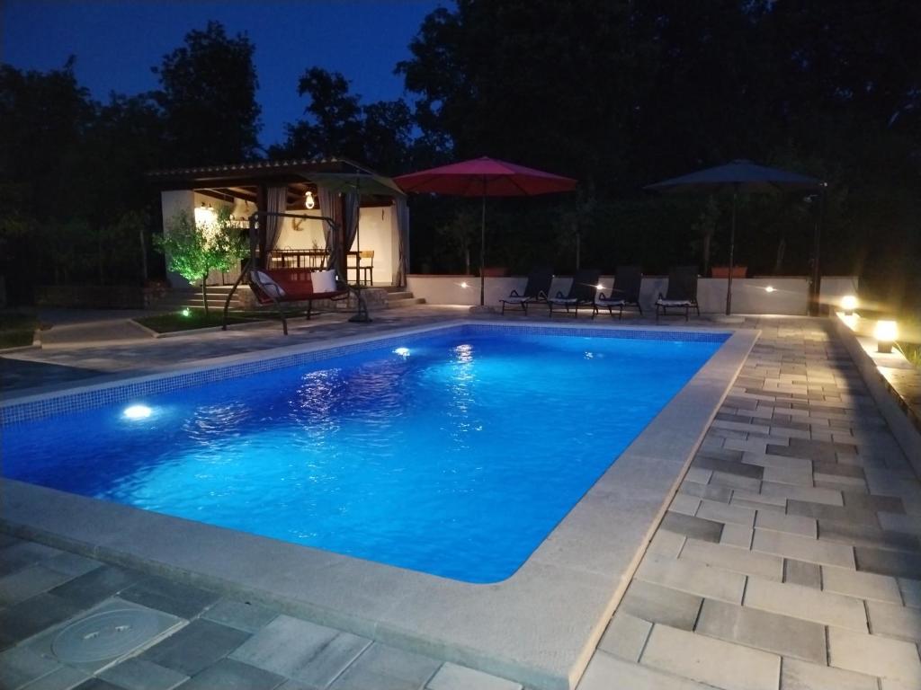 a swimming pool in a backyard at night at Apartment Vetva in Nedeščina