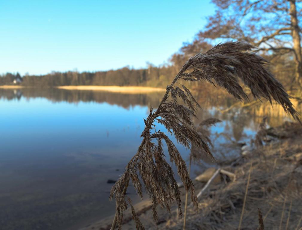 Loodusmaastik hotelli lähedal