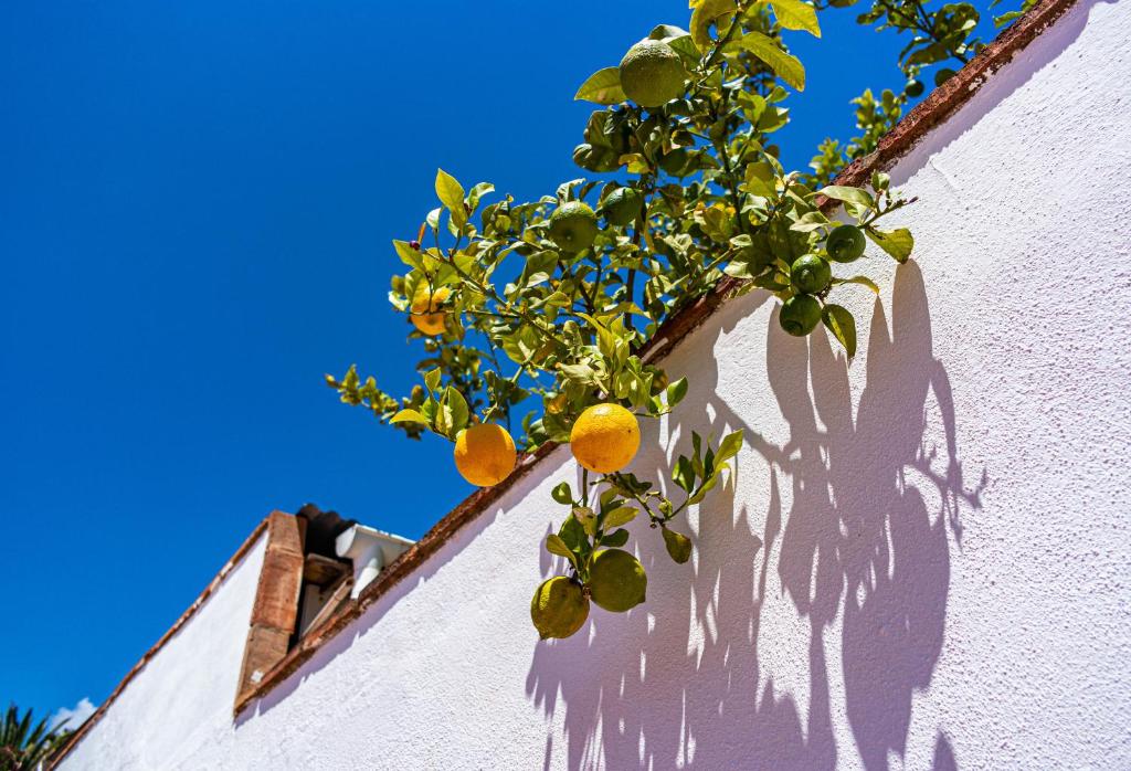 Zdjęcie z galerii obiektu Villa Yanna w mieście Benalmádena
