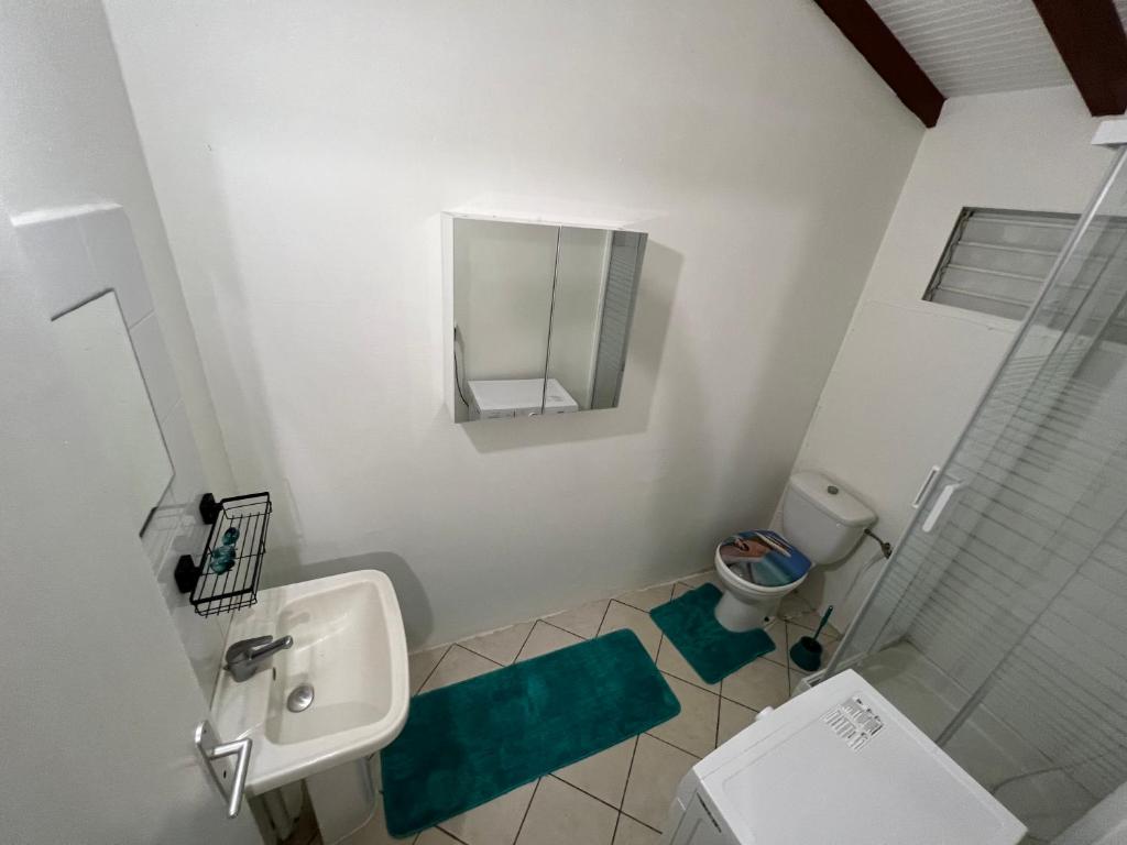 een badkamer met een wastafel, een toilet en een spiegel bij Paradis le Clodyo in Sainte-Rose