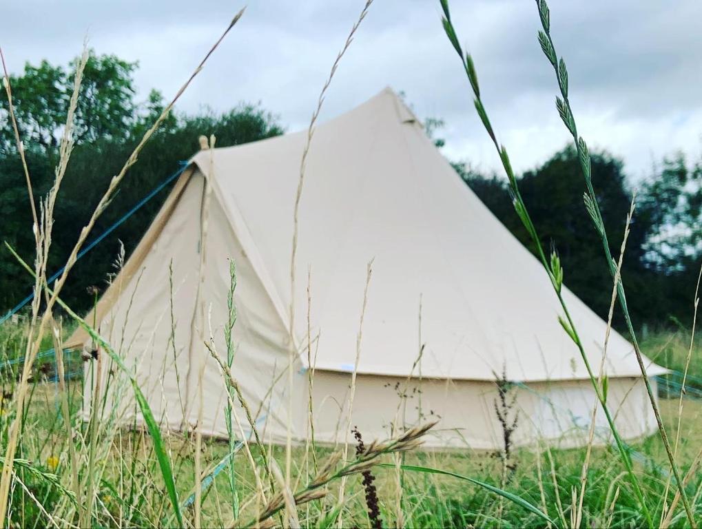a white tent in a field of grass at Bluebell Wilds in Whitchurch