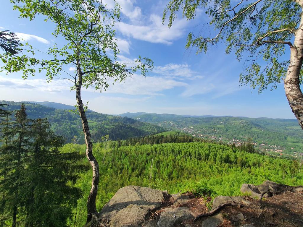 Apartamenty Ski & Fun Spokojna - 8