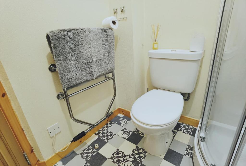 a bathroom with a toilet and a shower at Studio in the heart of Kirkwall in Orkney