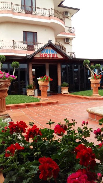 Zahrada ubytování Drini Hotel
