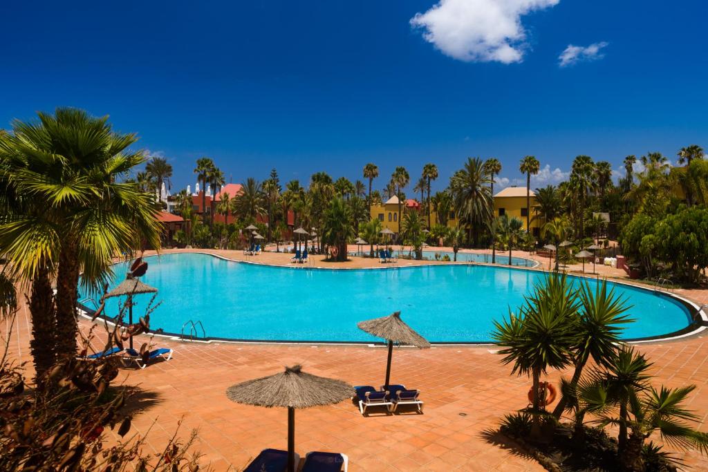 een groot zwembad met palmbomen en parasols bij Oasis vistamar in Corralejo