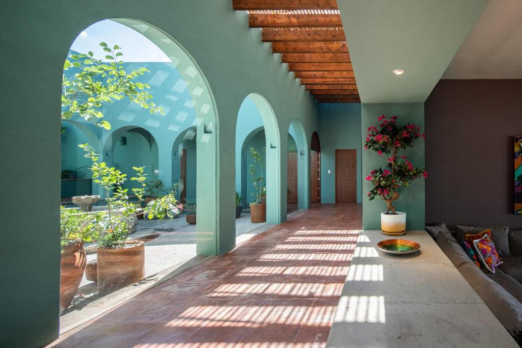 HOLT Balcones Guesthouse - Two Double Beds Room في سان ميغيل دي الليندي: مدخل منزل به مقوسات ونباتات