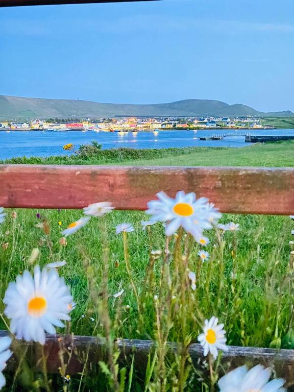 Un paisaje natural cerca de la casa de huéspedes