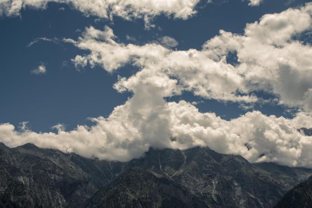 Ảnh trong thư viện ảnh của Aaruhee Homestay ở Kalpa