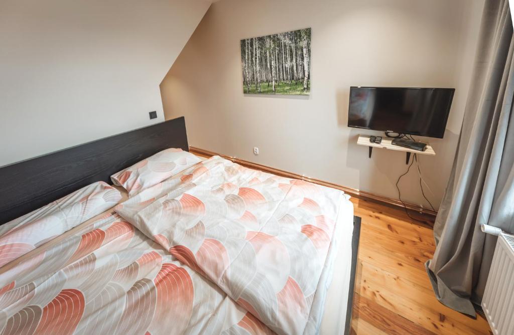 Televízia a/alebo spoločenská miestnosť v ubytovaní Duży Apartament Duszniki-Zdrój