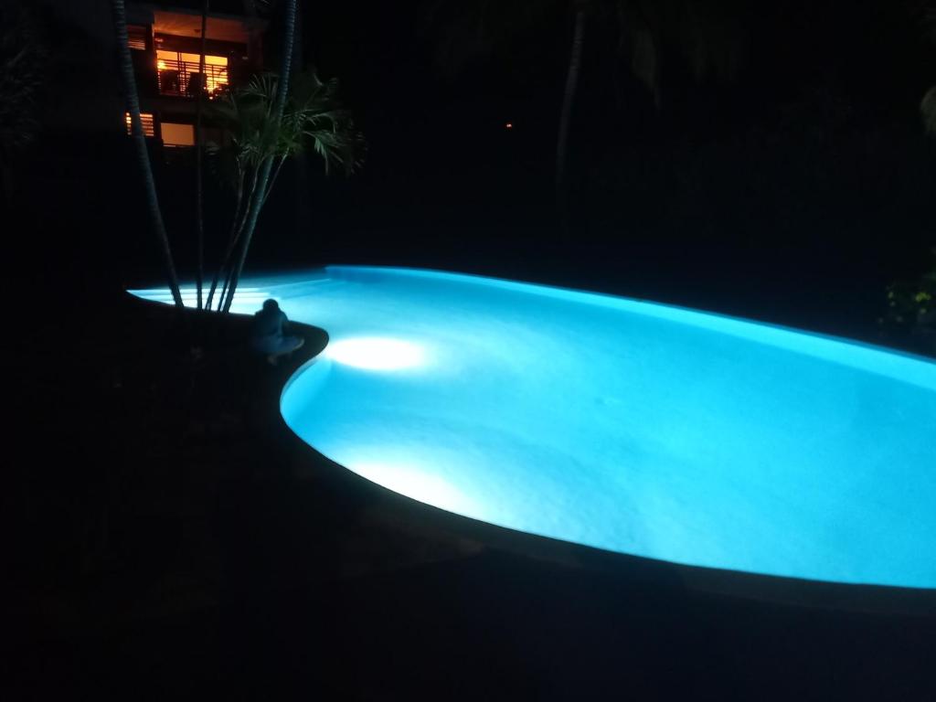 une baignoire bleue avec une plante dans l'obscurité dans l'établissement La Perle du Sable Blanc, à Saint-Gilles les Bains