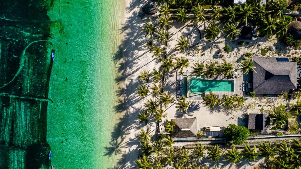 an overhead view of a beach with palm trees and a house at Seed Resort in Nembrala