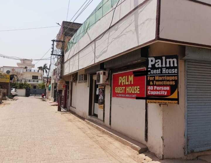 OYO 81343 Palm Guest House - Housity