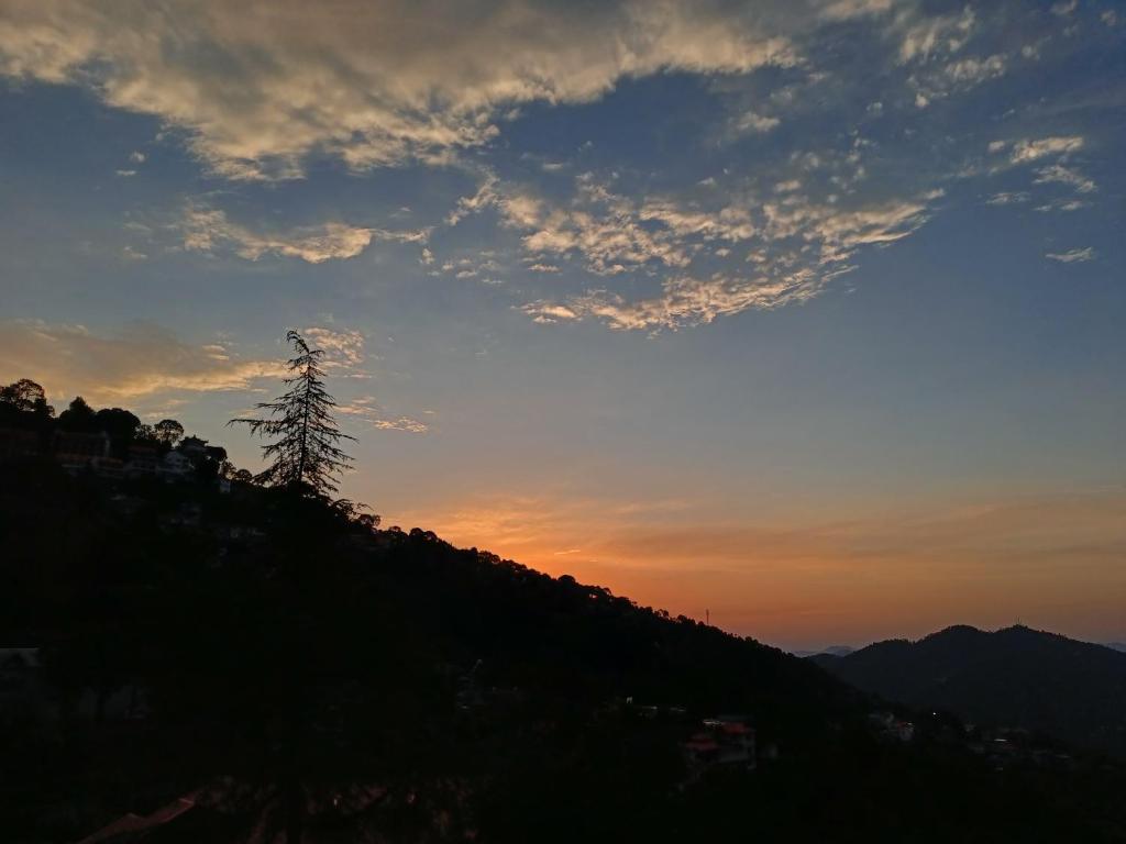 a tree on top of a hill at sunset at Sunrise View Homestay in Kasauli